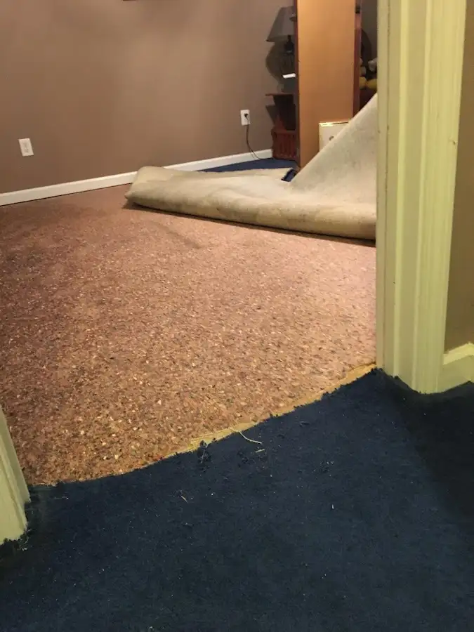 Carpet pad removal revealing water damage during Drying & Dehumidification in Anthem