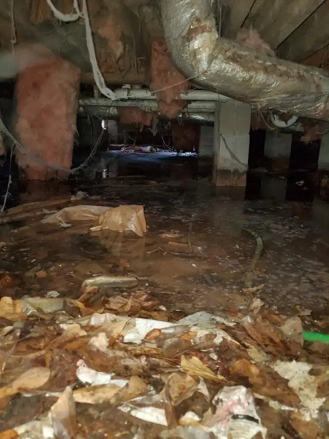 Crawl space flood assessment for Commercial Water Damage Restoration in Anthem